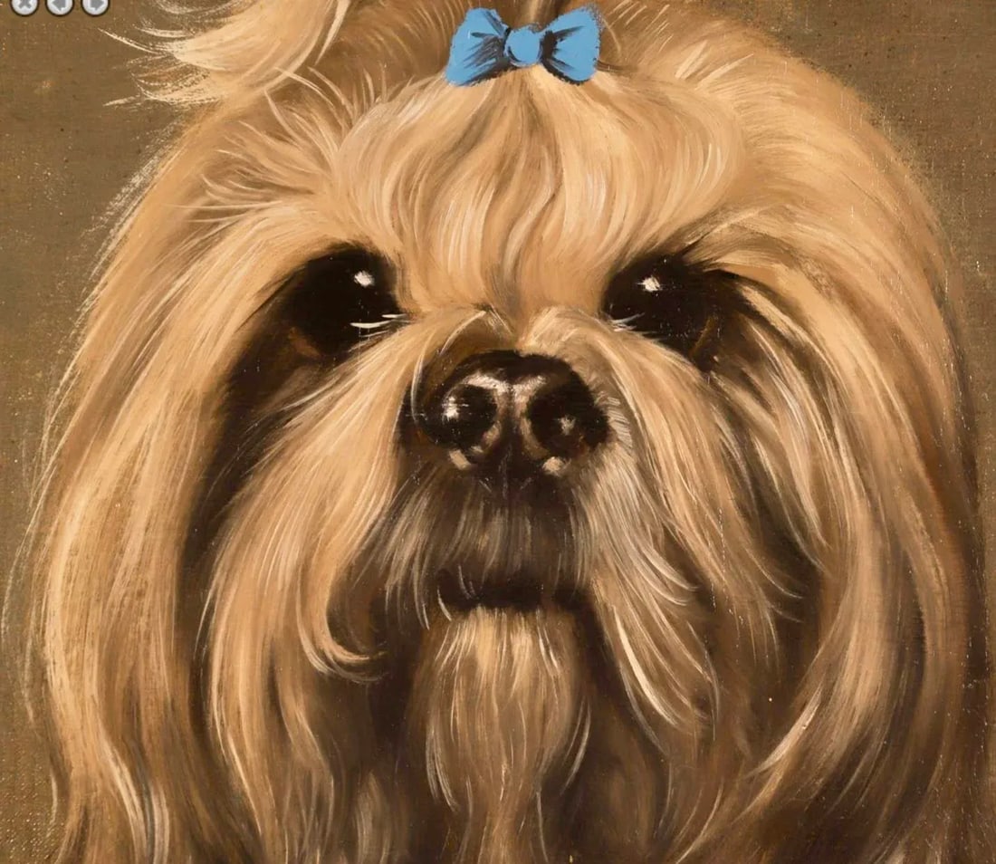 Thierry Poncelet Portrait of a Yorkshire Terrier as a Lady - 2