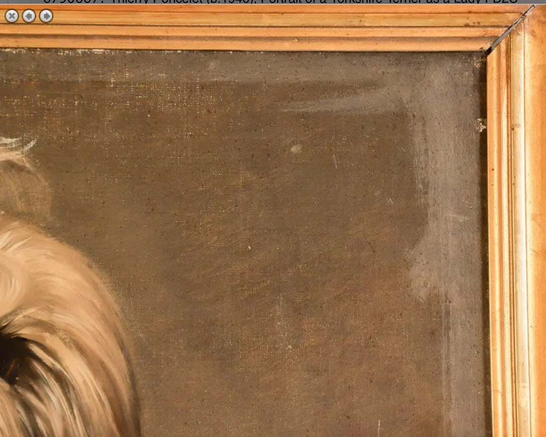 Thierry Poncelet Portrait of a Yorkshire Terrier as a Lady - 8