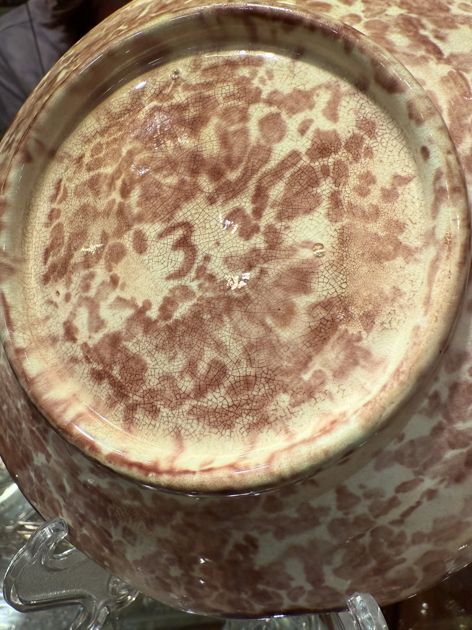 Majolica Antique 19th Century Grape Leaf Plate - 10