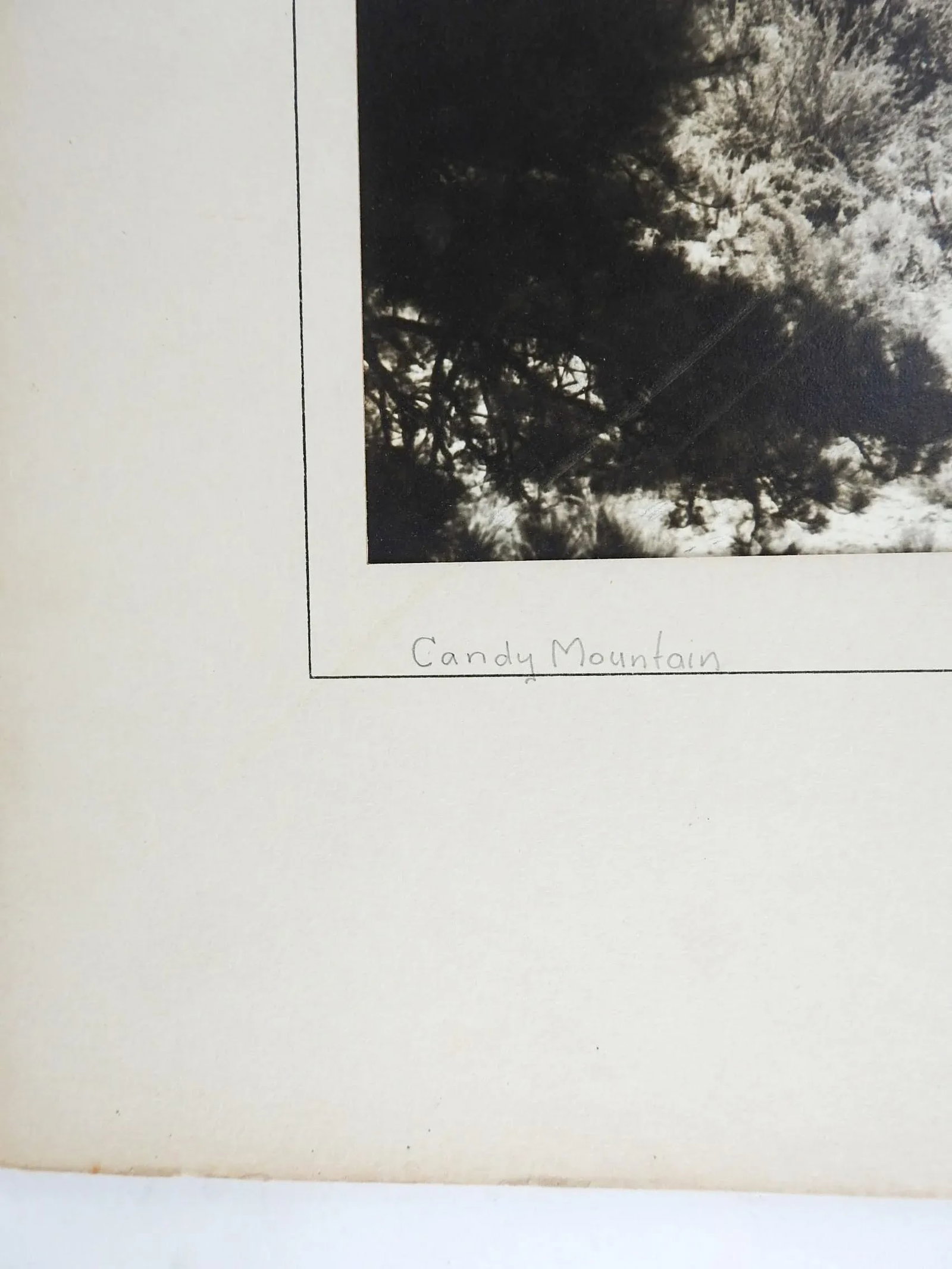 1950's Photograph Candy Mountain - 2