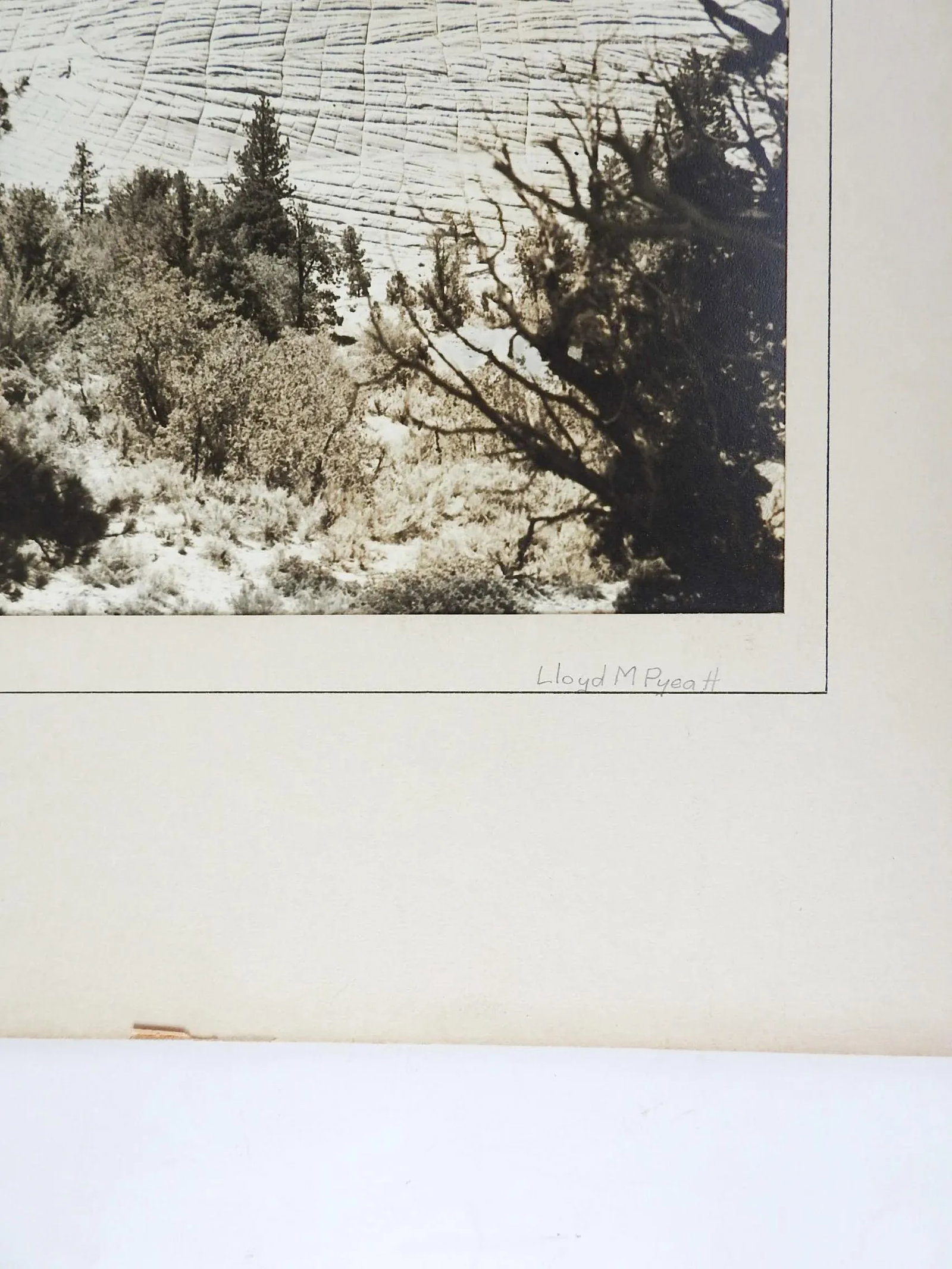1950's Photograph Candy Mountain - 3