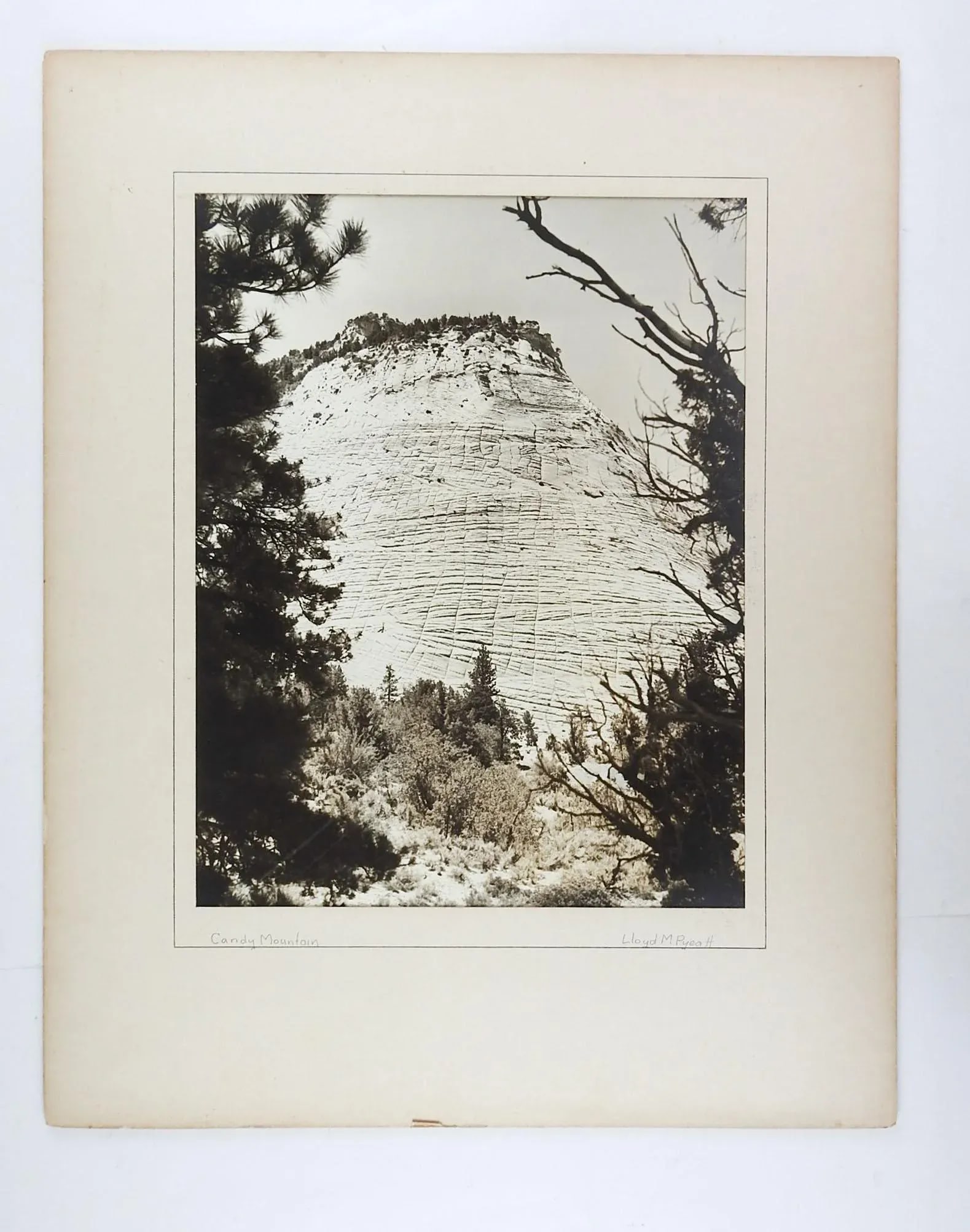 1950's Photograph Candy Mountain - 4