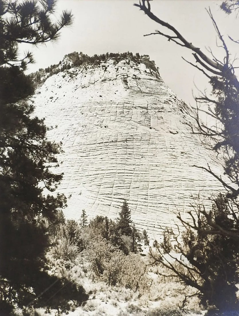 1950's Photograph Candy Mountain - 6