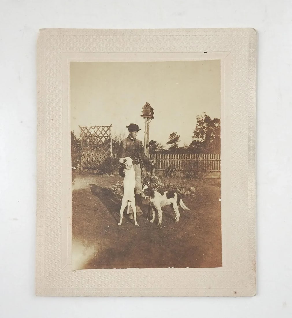 Vintage Antique Albumen Photograph Man Hunting Bird Dogs Dovecote - 3