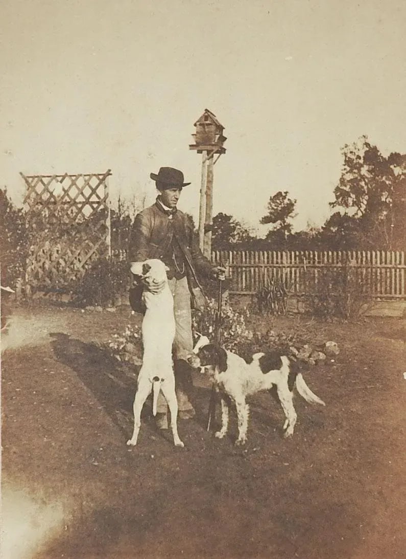 Vintage Antique Albumen Photograph Man Hunting Bird Dogs Dovecote - 4