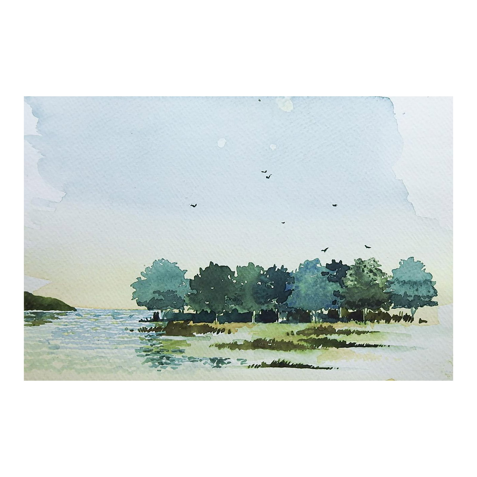 Small Mid 20th Century Coastal Landscape With Trees Watercolor Painting: Small mid 20th century watercolor on paper painting of coastal landscape with trees, other side has some nice tree studies. Unsigned. Unframed, age toning, edges a bit uneven. Condition: Alterations: