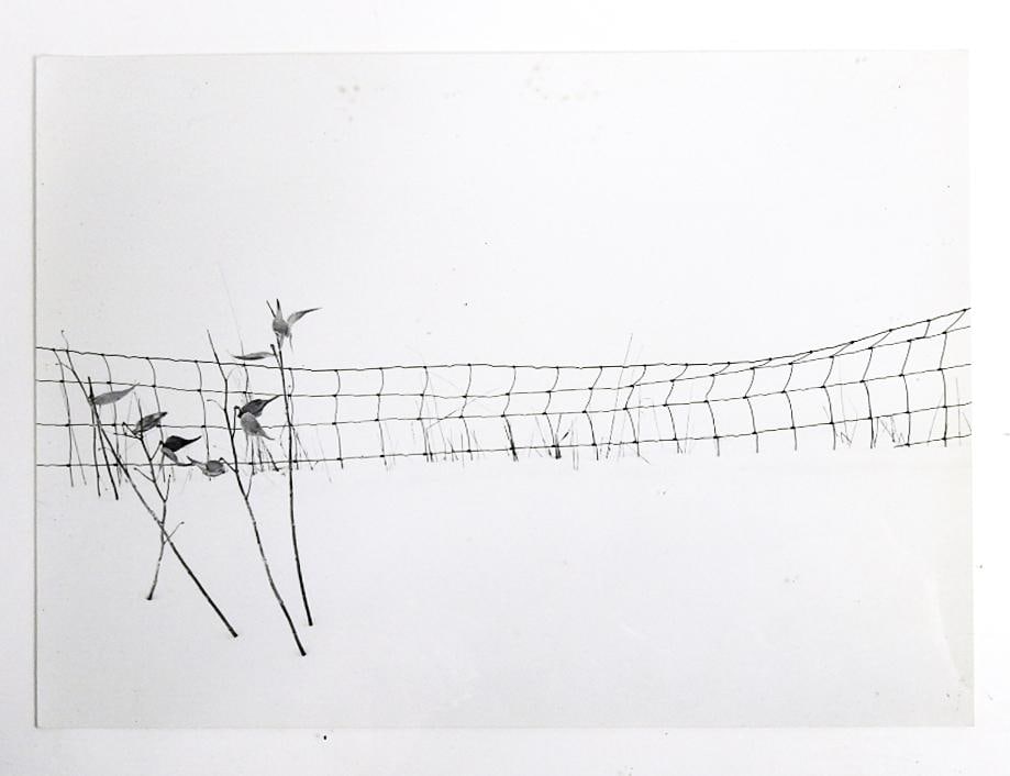 Late 20th Century Photograph Wire Fence in Snow - 2