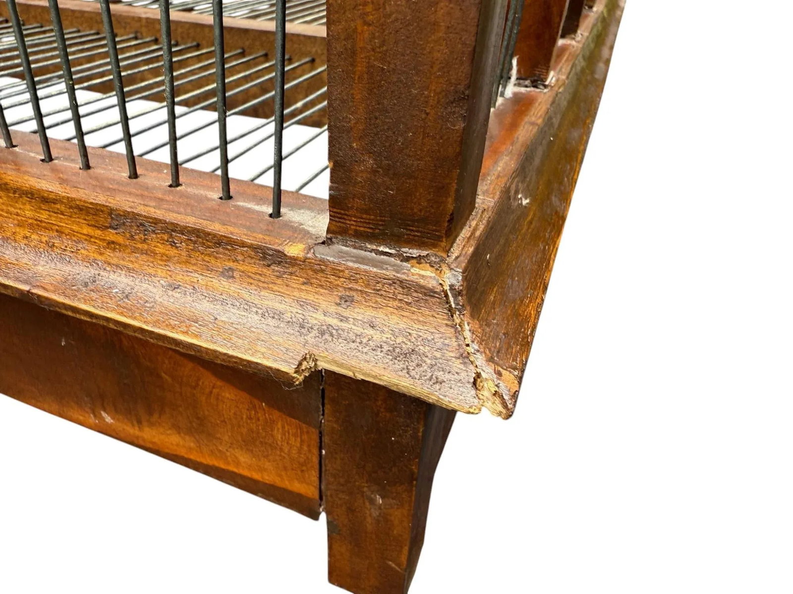 Victorian Birdcage - 2