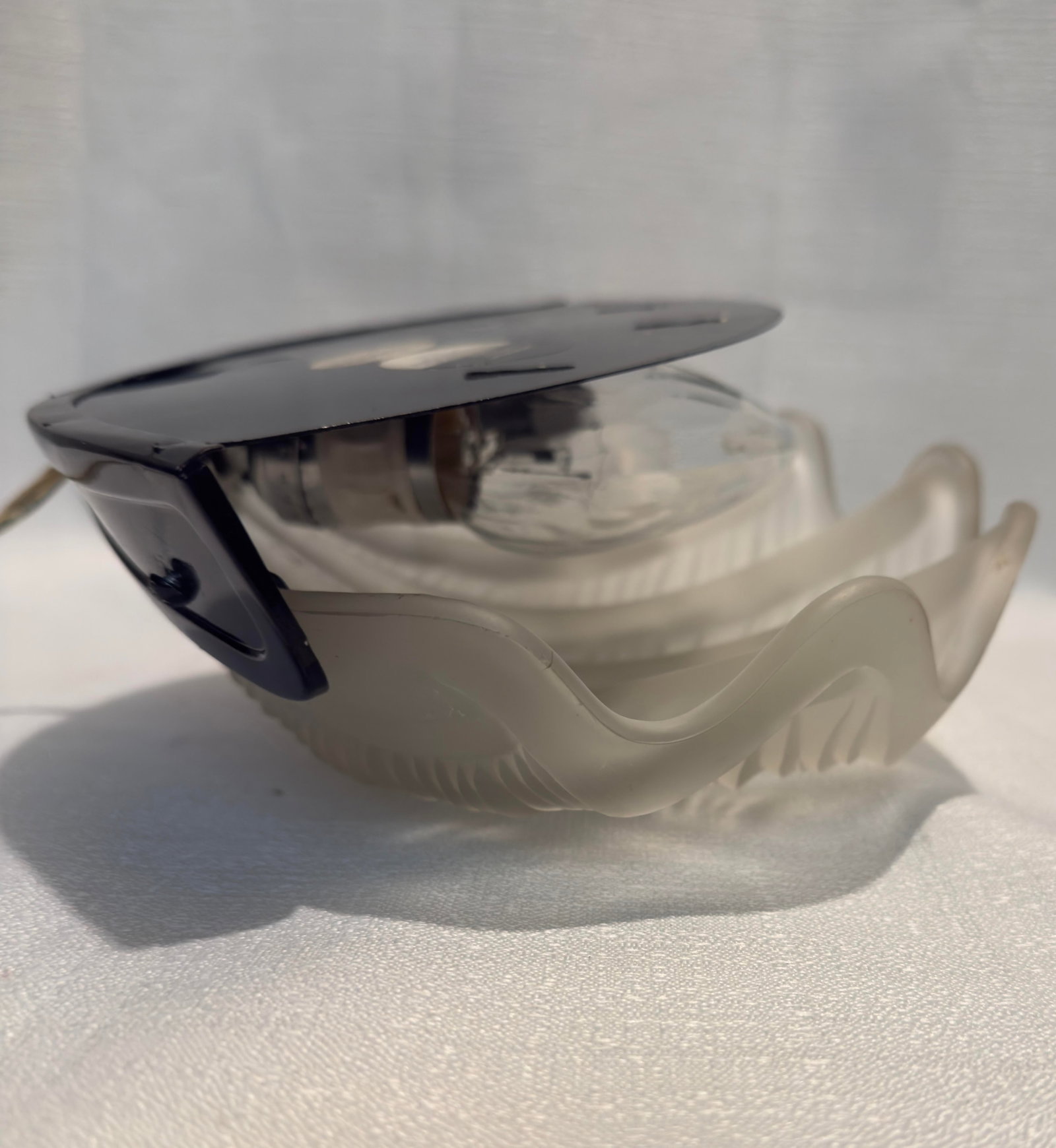 1980s Palm Beach Regency Rene Lalique Art Deco Style Frosted Glass Clamshell Sconce - - 6