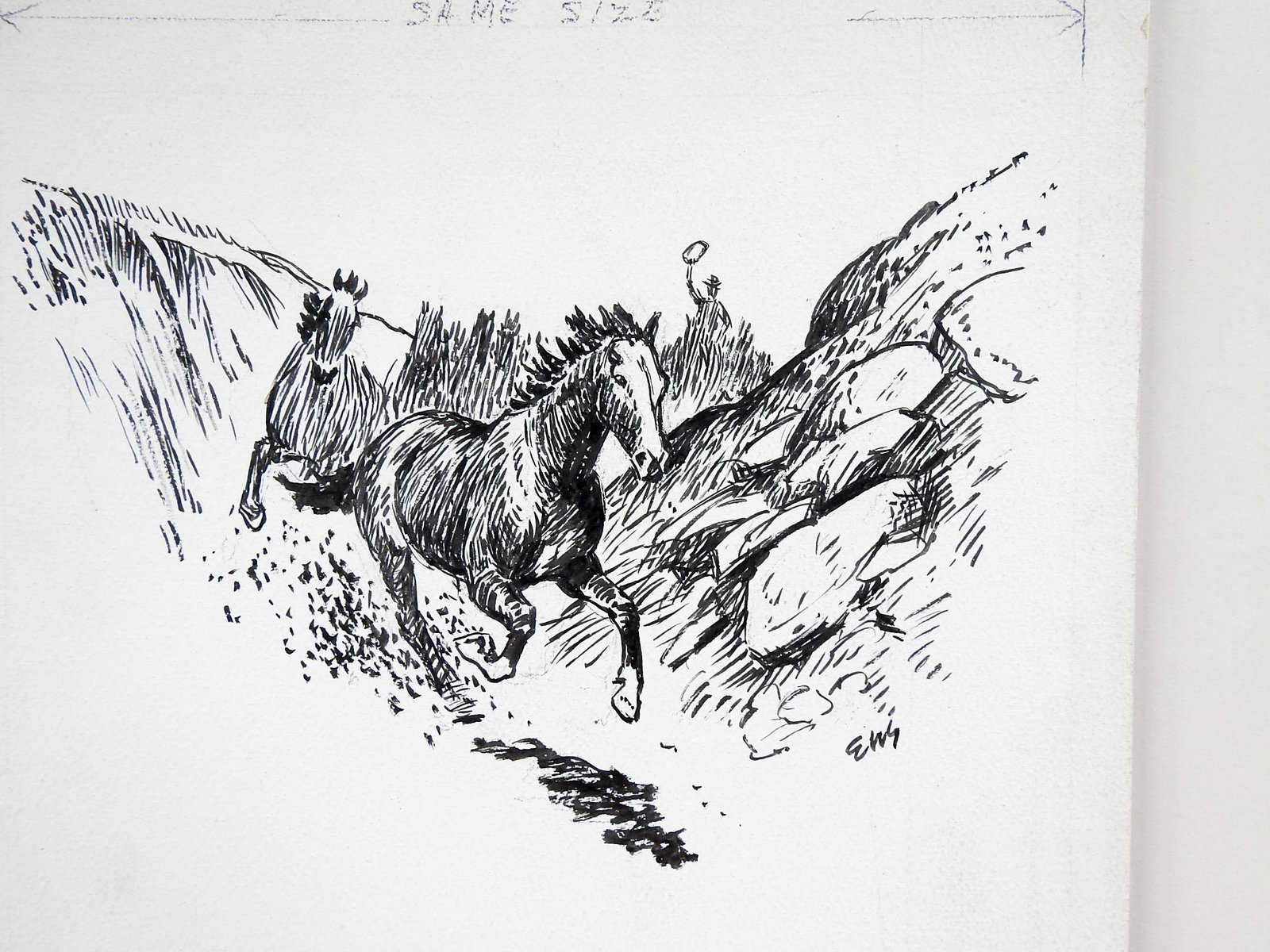 Mid 20th Century Eugene Shortridge Wild Horses Pen & Ink Western Drawing - 2