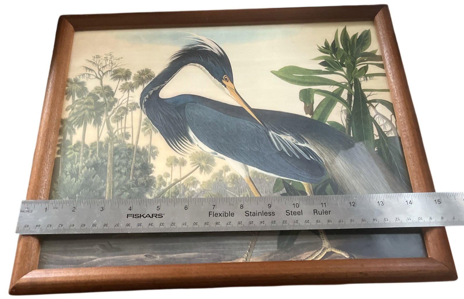 Framed Audubon "Louisiana Heron" Print - Vintage Natural History Art - 3