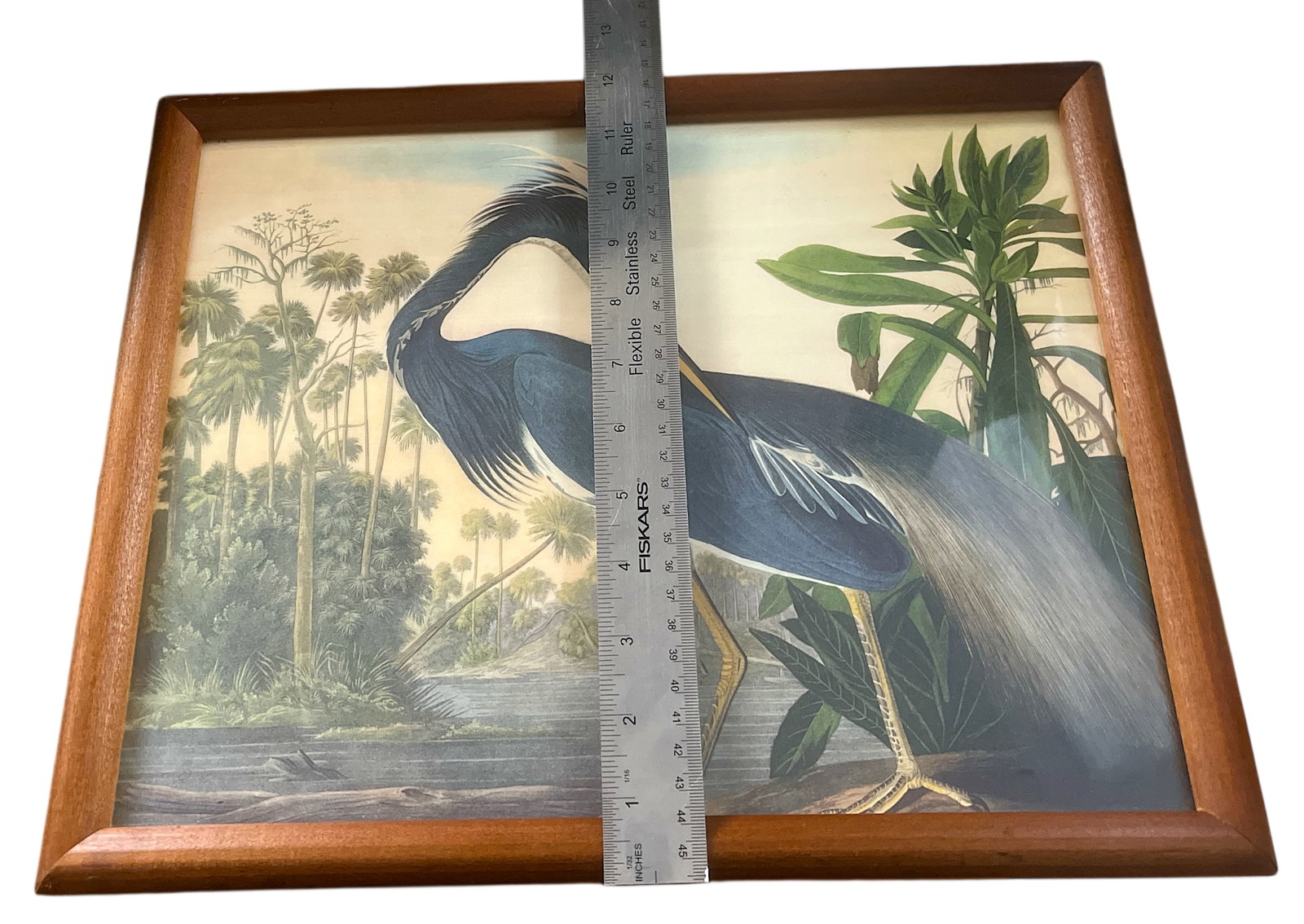 Framed Audubon "Louisiana Heron" Print - Vintage Natural History Art - 4