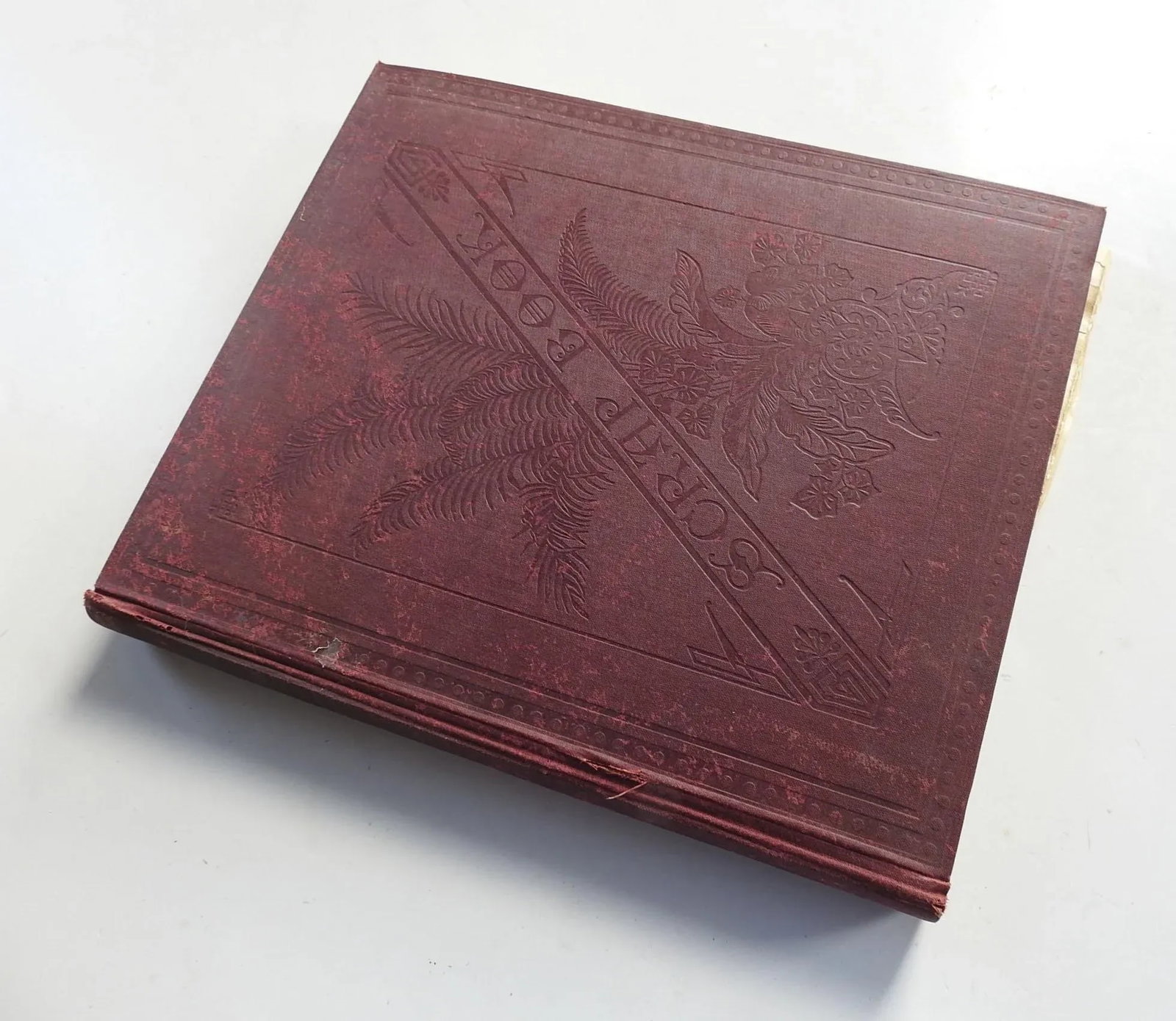 Antique Bound Collection Grand Tour Albumen Photographs - 11