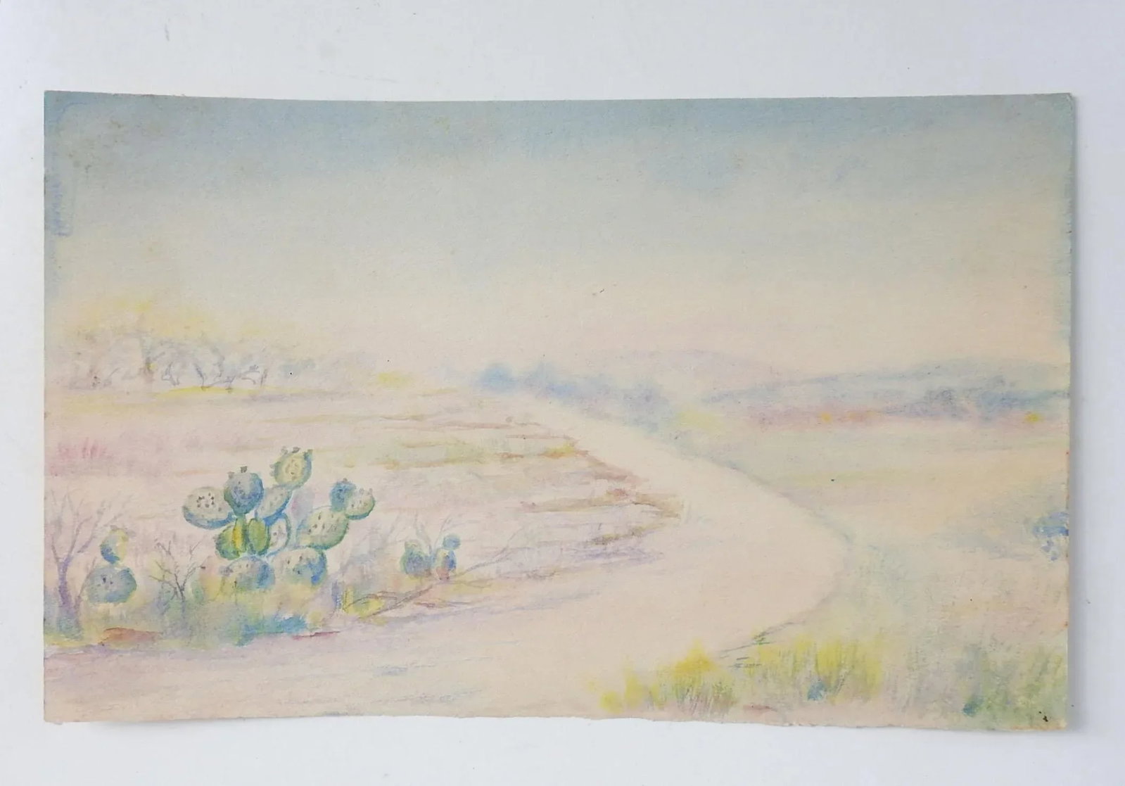 Antique Plein Air Watercolor Landscape Painting With Cactus - 2