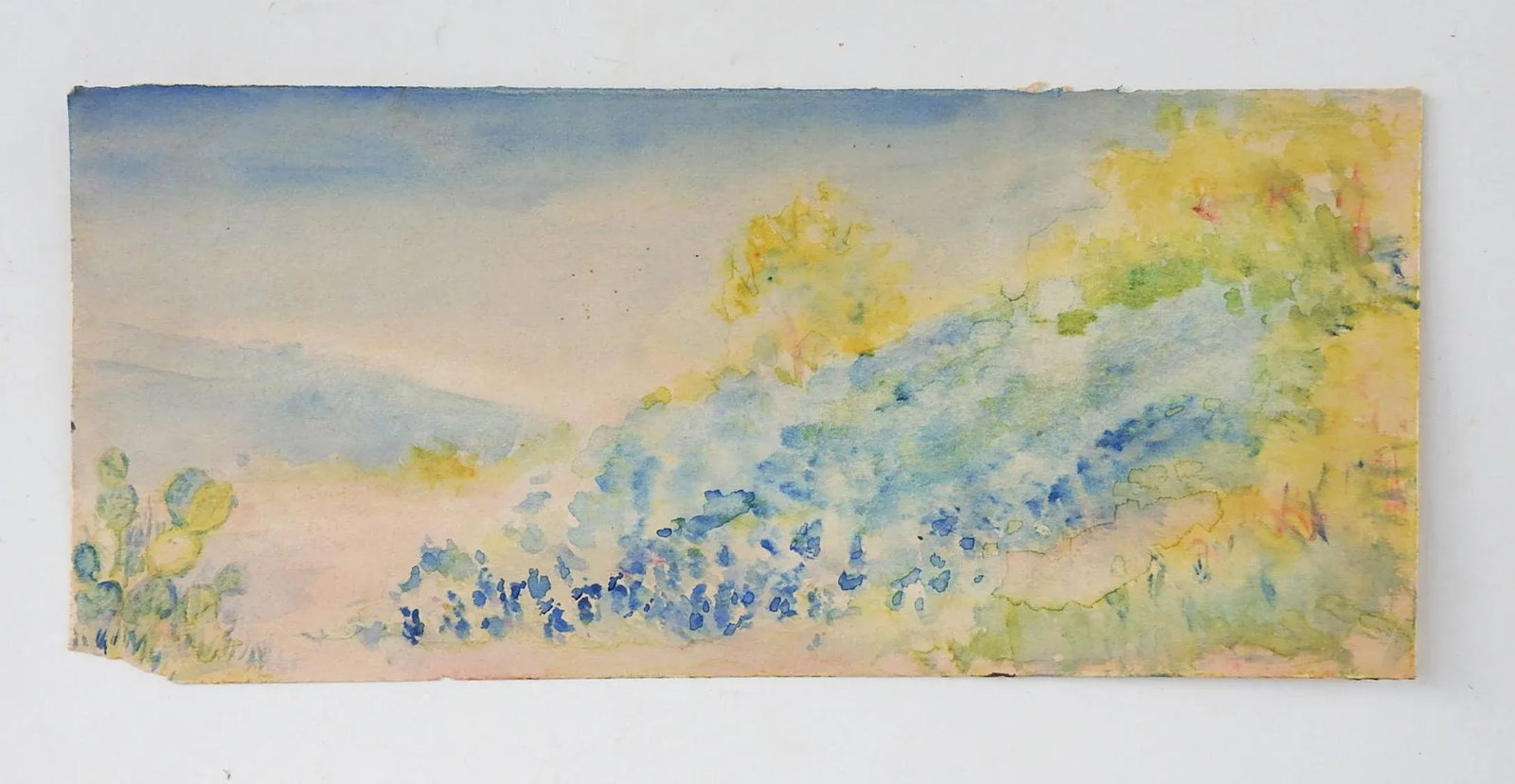 Small Antique Plein Air Cactus & Bluebonnets Landscape Watercolor Painting - 2