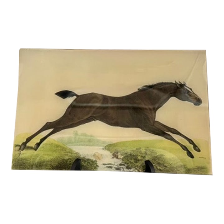 John Derian Jumping Horse 9 X 14 Letter Tray Decoupage Glass: Authentic John Derian "Jumping Horse" letter tray in the 9 x 14 inch size. Handmade decoupage with collaged paper under handblown glass, produced in the John Derian NYC studio. Classic equestrian