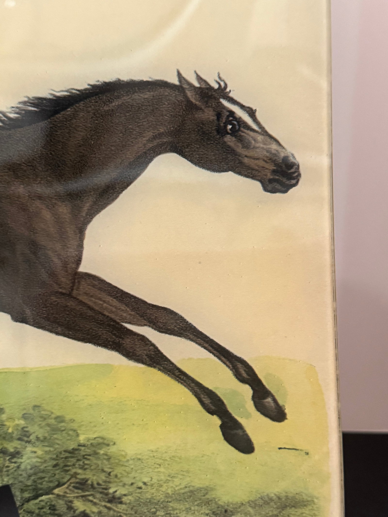 John Derian Jumping Horse 9 X 14 Letter Tray Decoupage Glass - 2