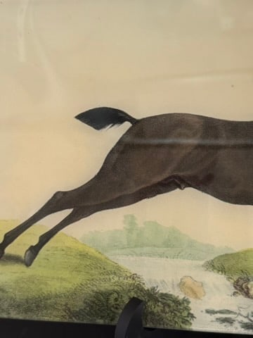 John Derian Jumping Horse 9 X 14 Letter Tray Decoupage Glass - 3