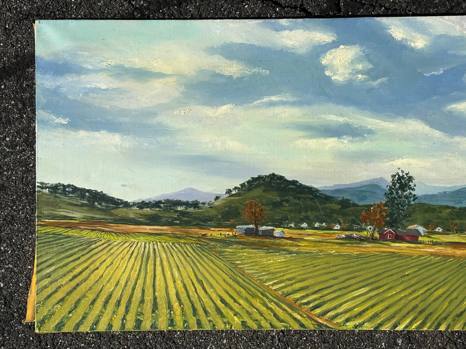 Mid 20th C. Original Oil on Canvas - Large, Long Agrarian Landscape - 10