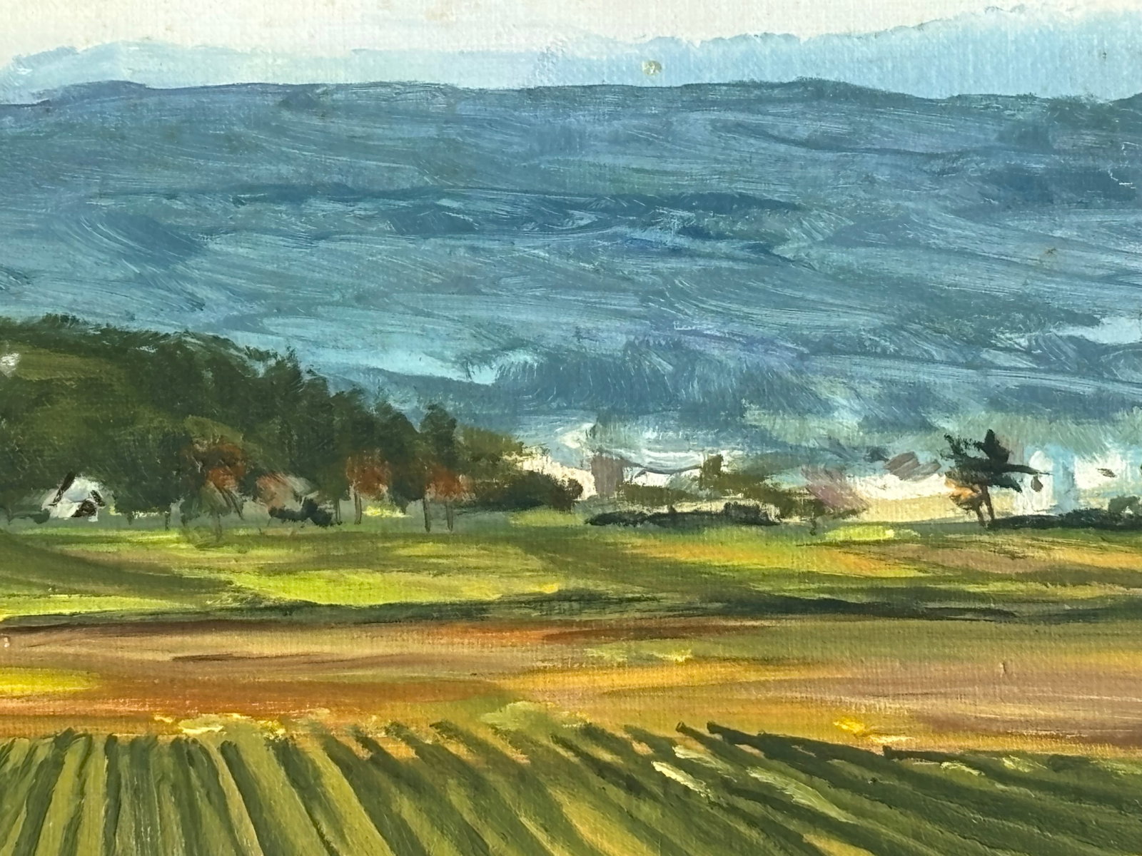 Mid 20th C. Original Oil on Canvas - Large, Long Agrarian Landscape - 3