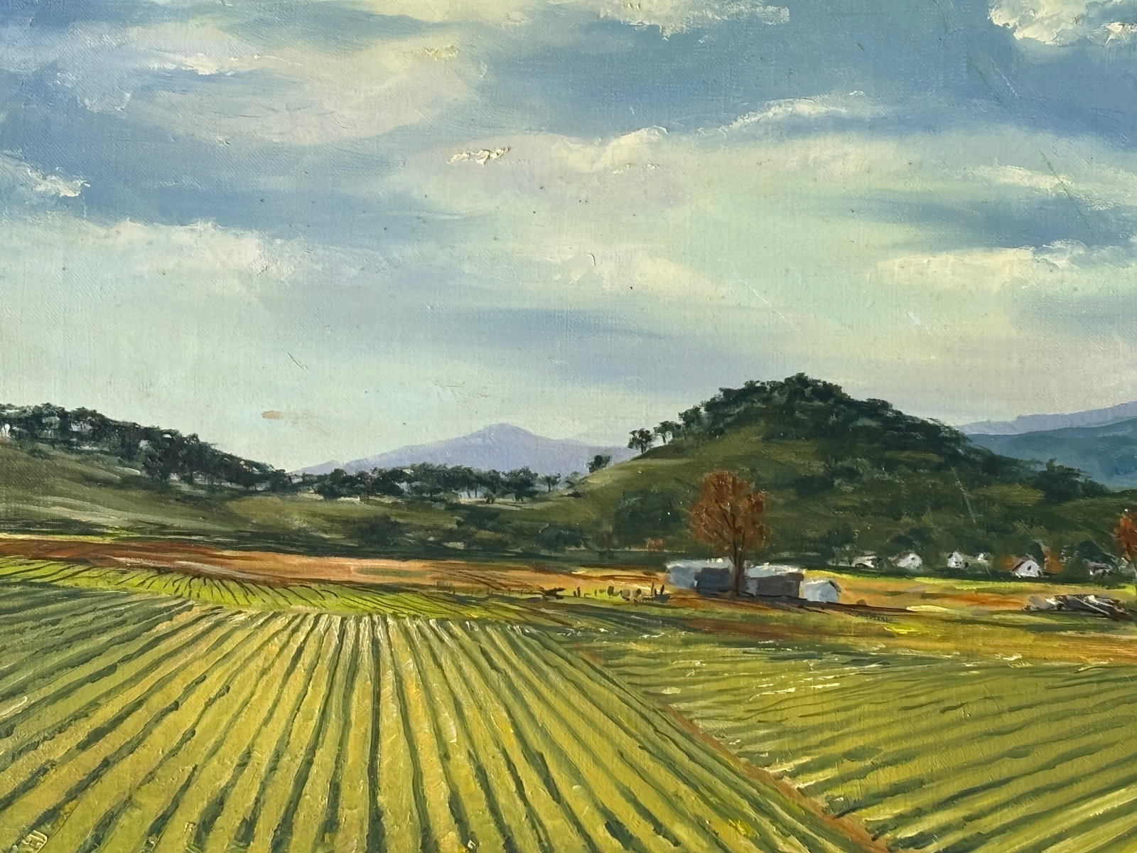 Mid 20th C. Original Oil on Canvas - Large, Long Agrarian Landscape - 4