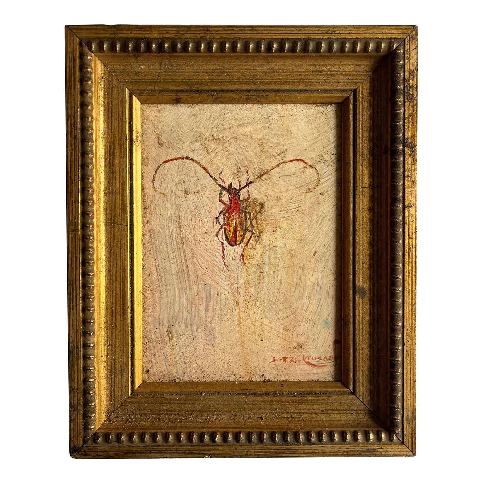 Scott Zuckerman (American B. 1951) Oil Painting on Board Insect Specimen Study of a Beetle: Scott Zuckerman (American b. 1951) oil painting on board - insect specimen study of a beetle. Frame measures 7 3/4" x 6 1/4" x 1". Painting measures 5 3/4" x 4 1/8". Signed lower right. Good