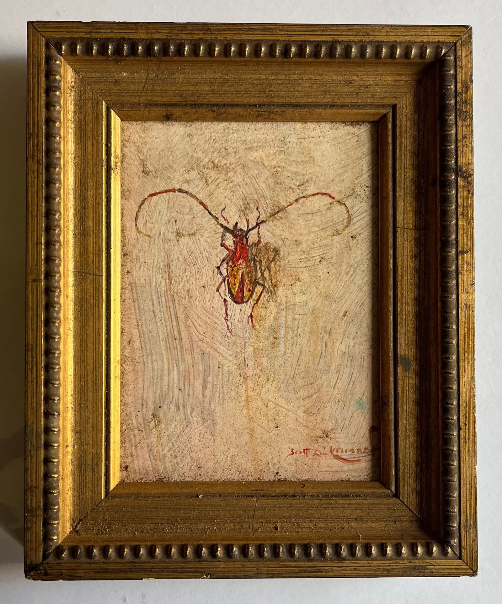 Scott Zuckerman (American B. 1951) Oil Painting on Board Insect Specimen Study of a Beetle - 2