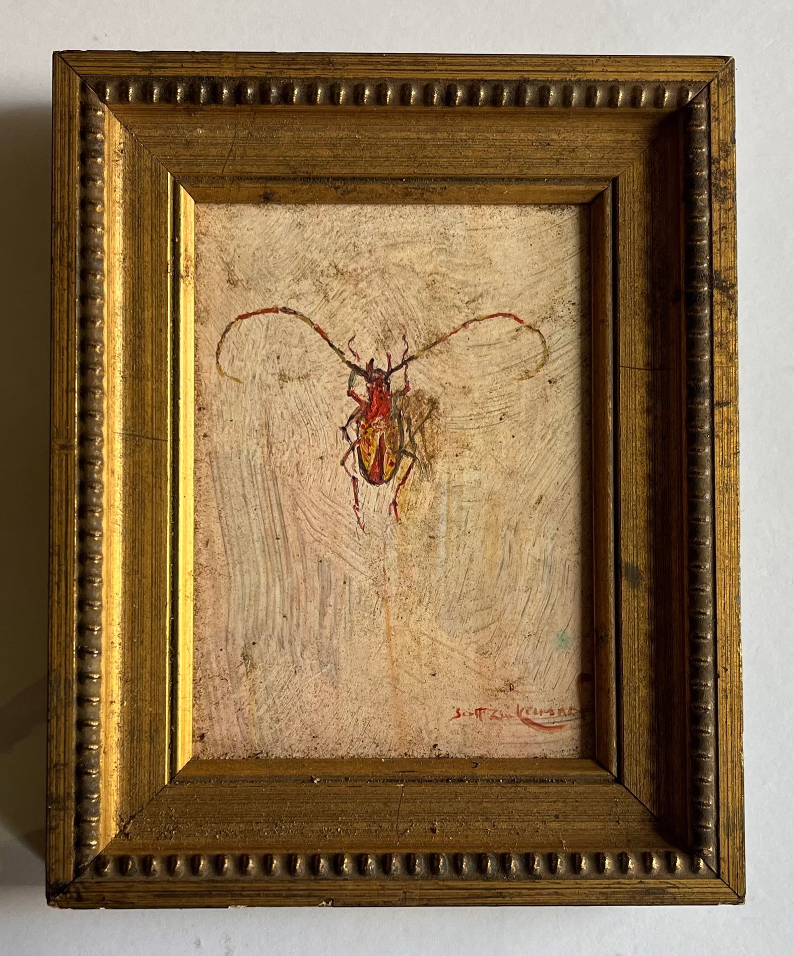 Scott Zuckerman (American B. 1951) Oil Painting on Board Insect Specimen Study of a Beetle - 3