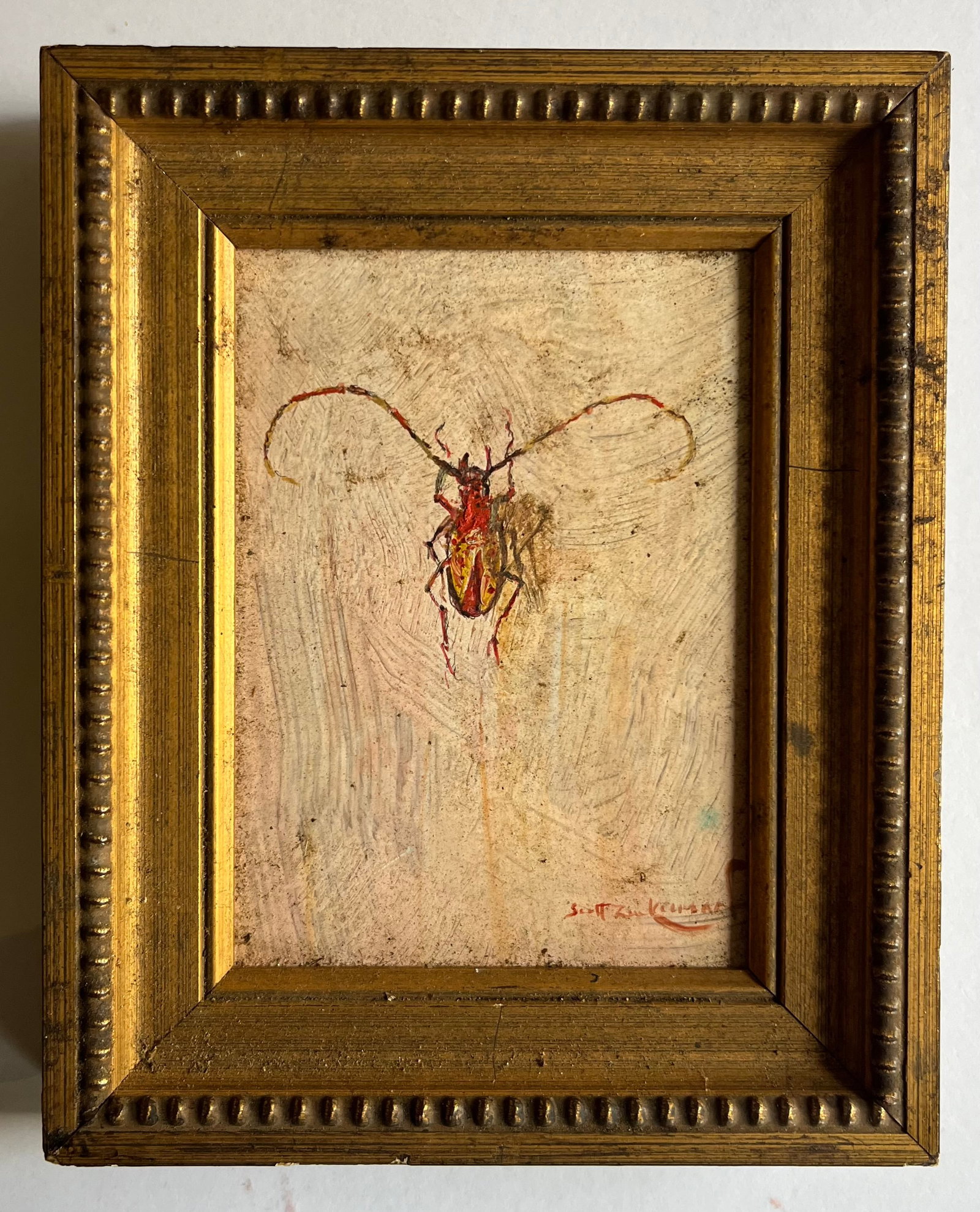 Scott Zuckerman (American B. 1951) Oil Painting on Board Insect Specimen Study of a Beetle - 5