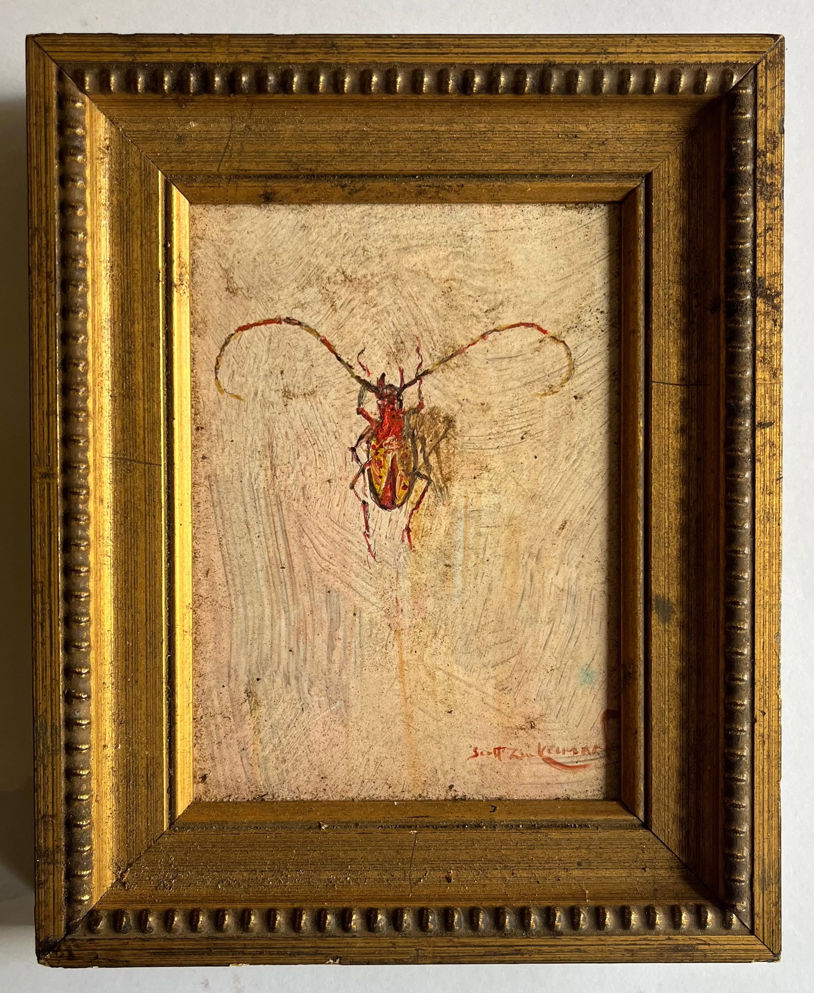 Scott Zuckerman (American B. 1951) Oil Painting on Board Insect Specimen Study of a Beetle - 6