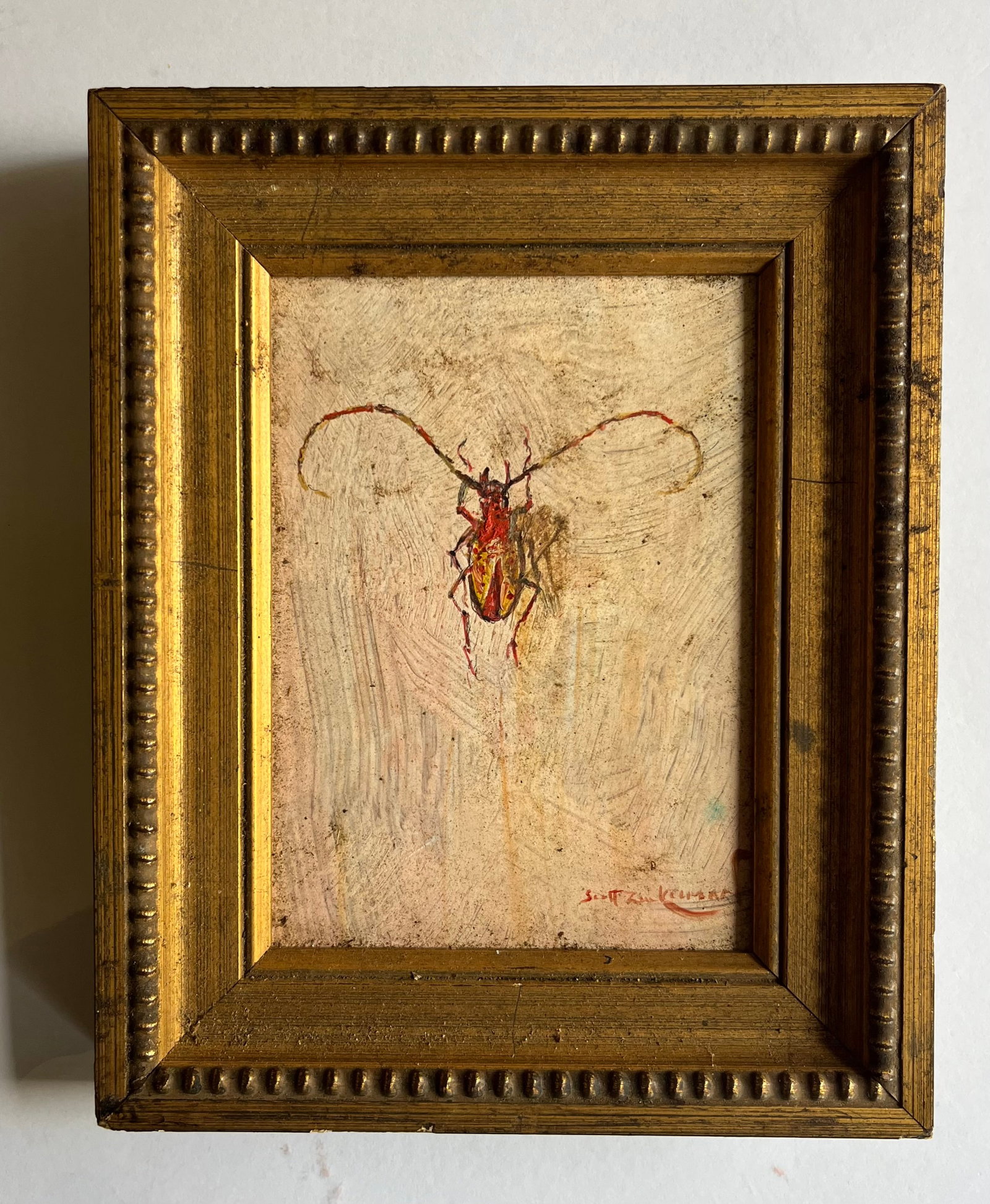 Scott Zuckerman (American B. 1951) Oil Painting on Board Insect Specimen Study of a Beetle - 7