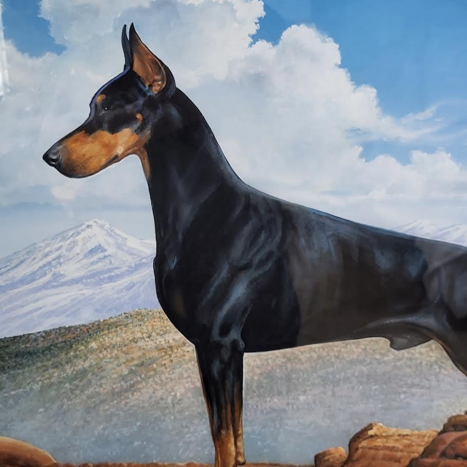 Stunning Painting Doberman Pinscher Male Dog - Red Rock Background - 2