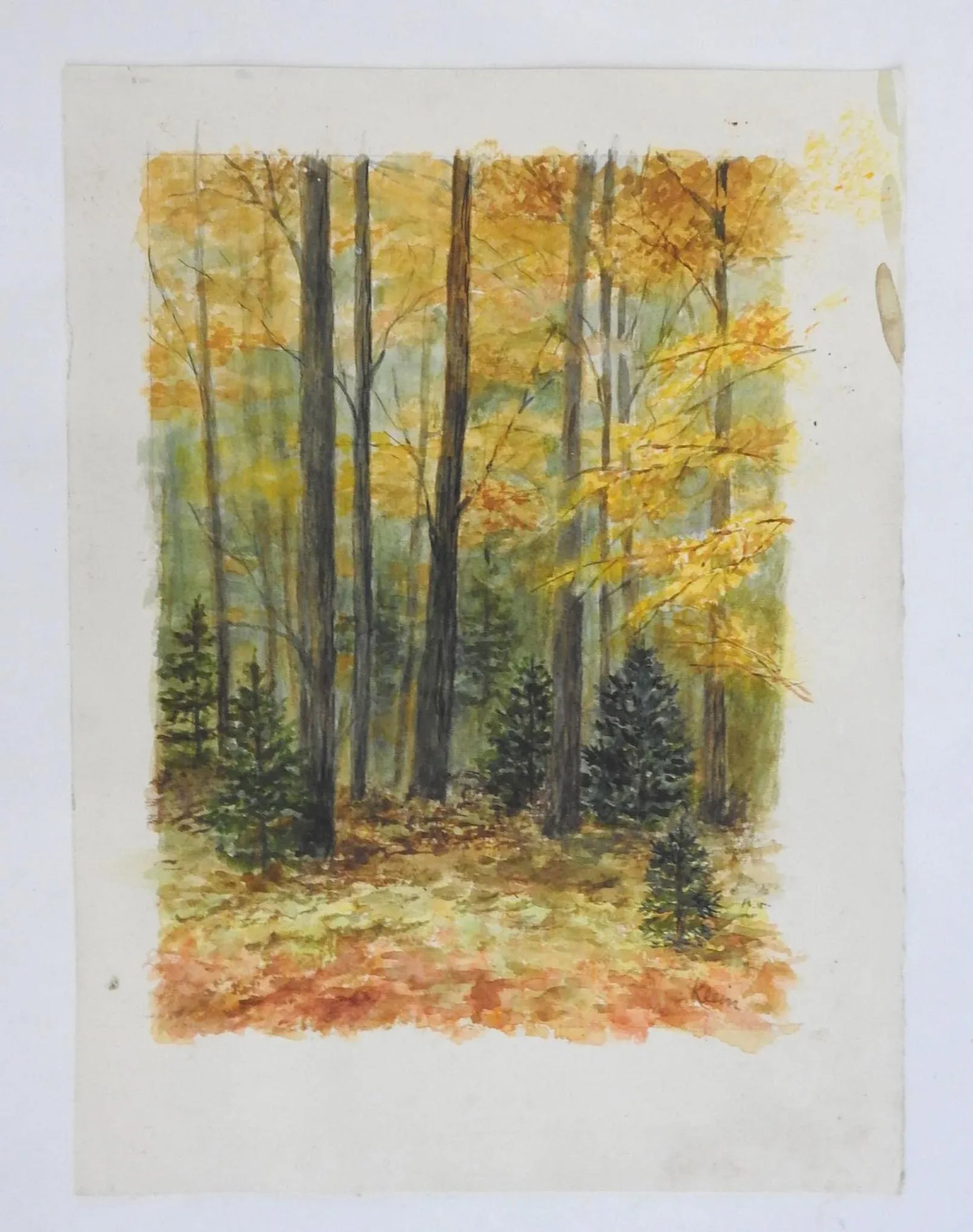Vintage Autumn Woodland Landscape Watercolor Painting - 2