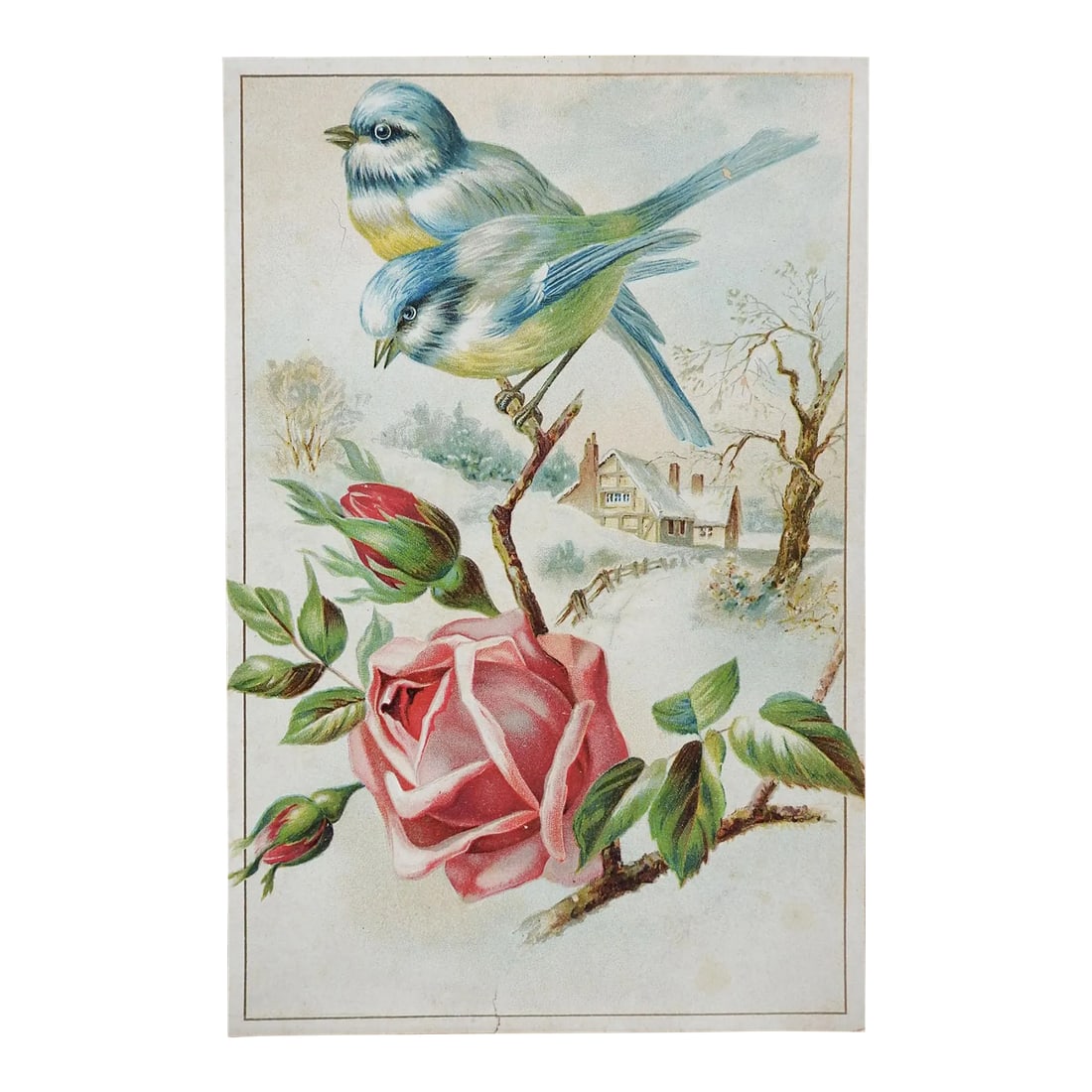 Antique Victorian Chromolithograph Bluebirds & Roses: Antique circa 1890's embossed chromolithograph print of bluebirds and pink roses. Farmhouse in background. Unsigned. Unframed, corner creasing, age toning, edge tear at bottom. Condition: