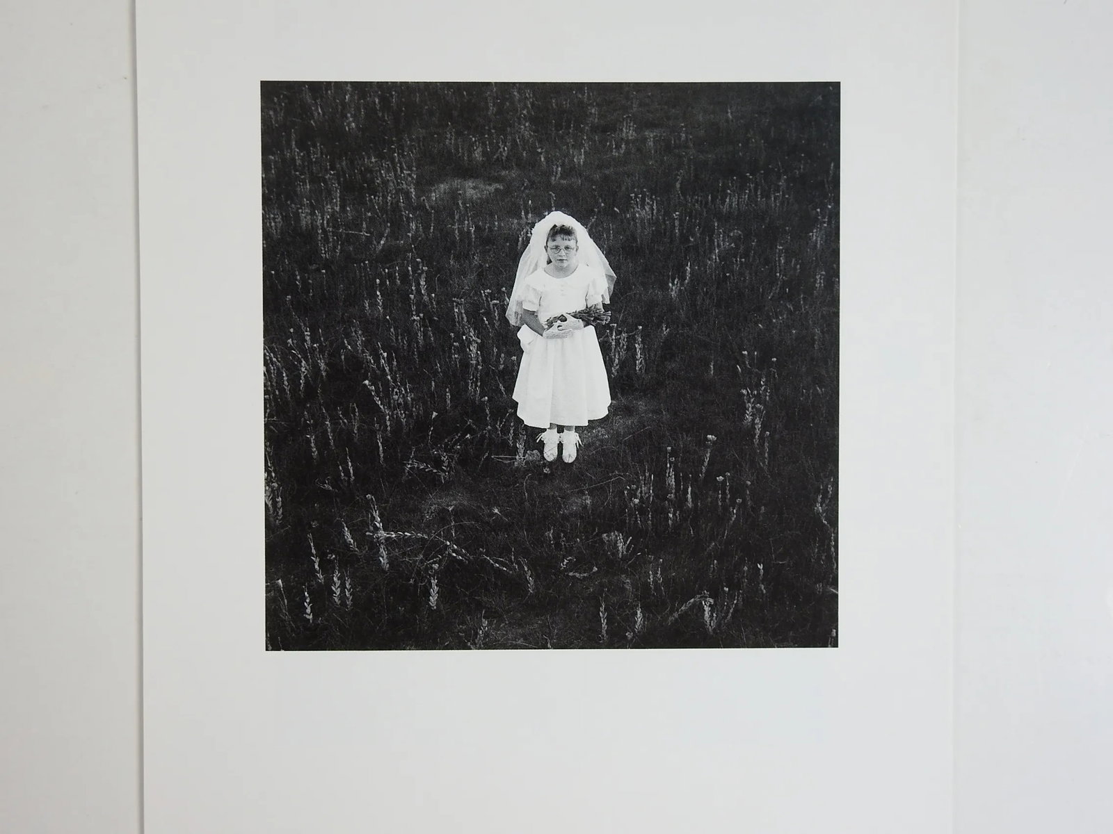 Enchanted Land Portfolio of Photographs - 11 - 6