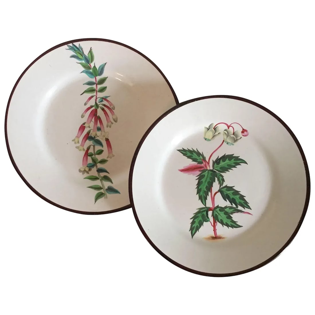 Early 19th Century English Creamware Botanical Plates with Named Flower Specimens - A Pair - 10