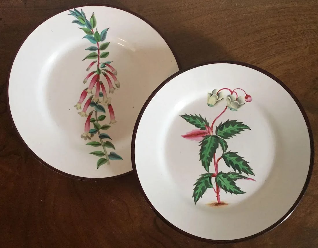 Early 19th Century English Creamware Botanical Plates with Named Flower Specimens - A Pair - 2