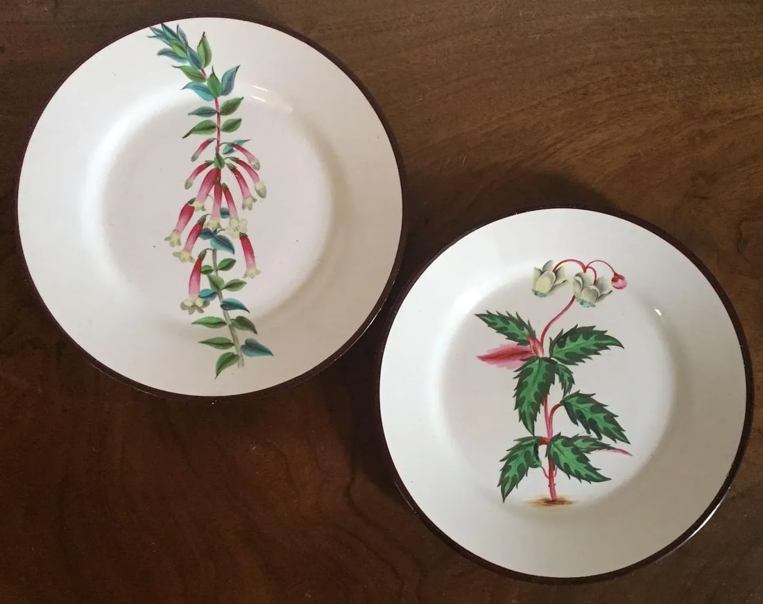 Early 19th Century English Creamware Botanical Plates with Named Flower Specimens - A Pair - 3