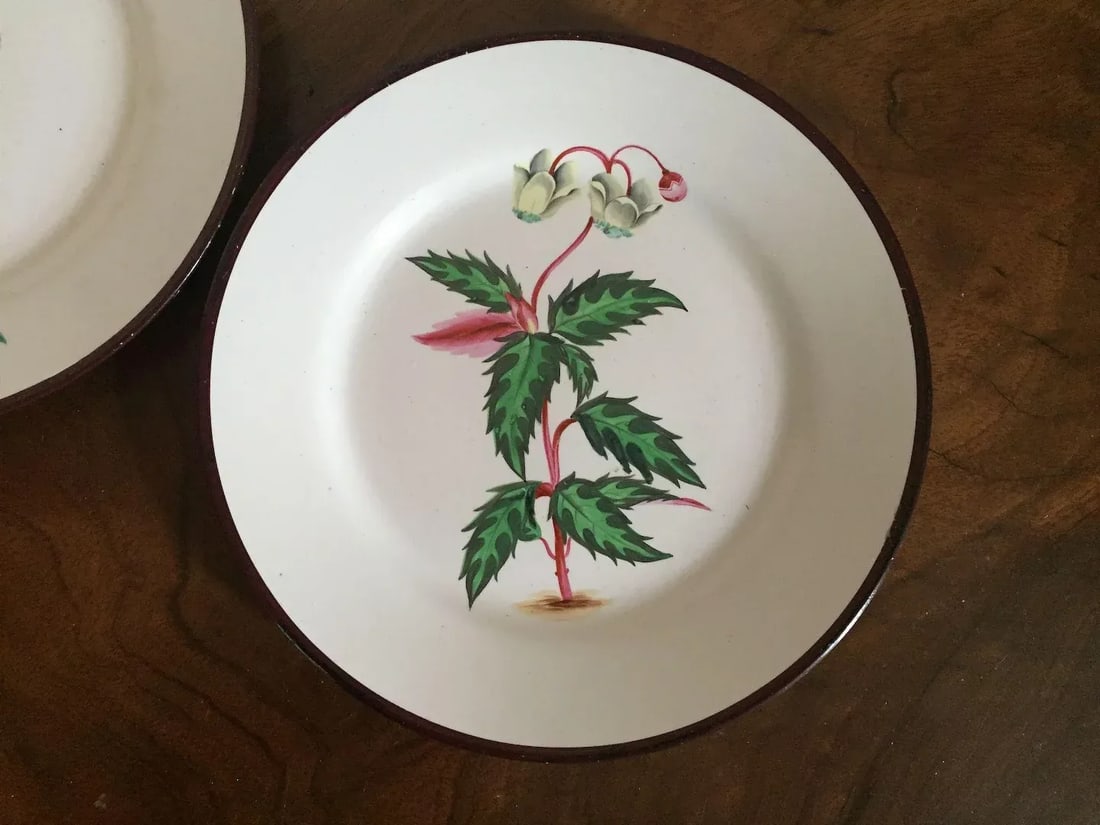 Early 19th Century English Creamware Botanical Plates with Named Flower Specimens - A Pair - 4