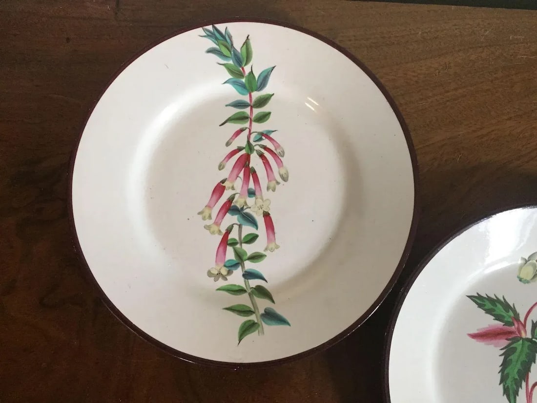 Early 19th Century English Creamware Botanical Plates with Named Flower Specimens - A Pair - 5