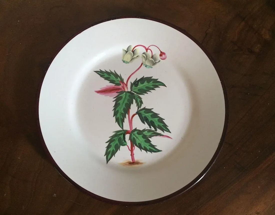 Early 19th Century English Creamware Botanical Plates with Named Flower Specimens - A Pair - 6