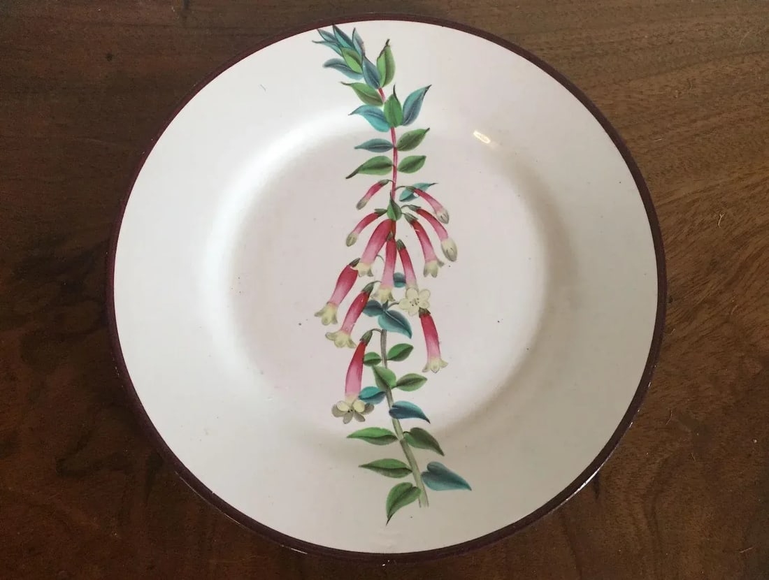 Early 19th Century English Creamware Botanical Plates with Named Flower Specimens - A Pair - 7