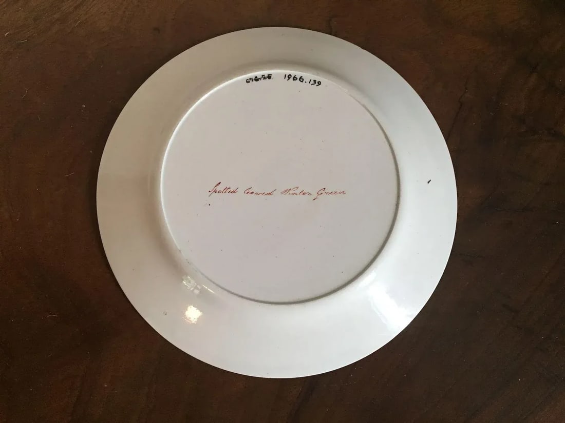 Early 19th Century English Creamware Botanical Plates with Named Flower Specimens - A Pair - 9