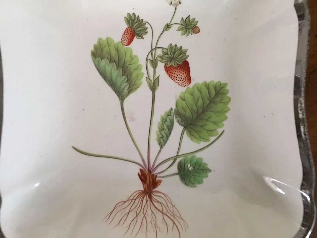 1810 Creamware Pearlware Botanical Square Dish with Hand Painted Strawberry Specimen - 7