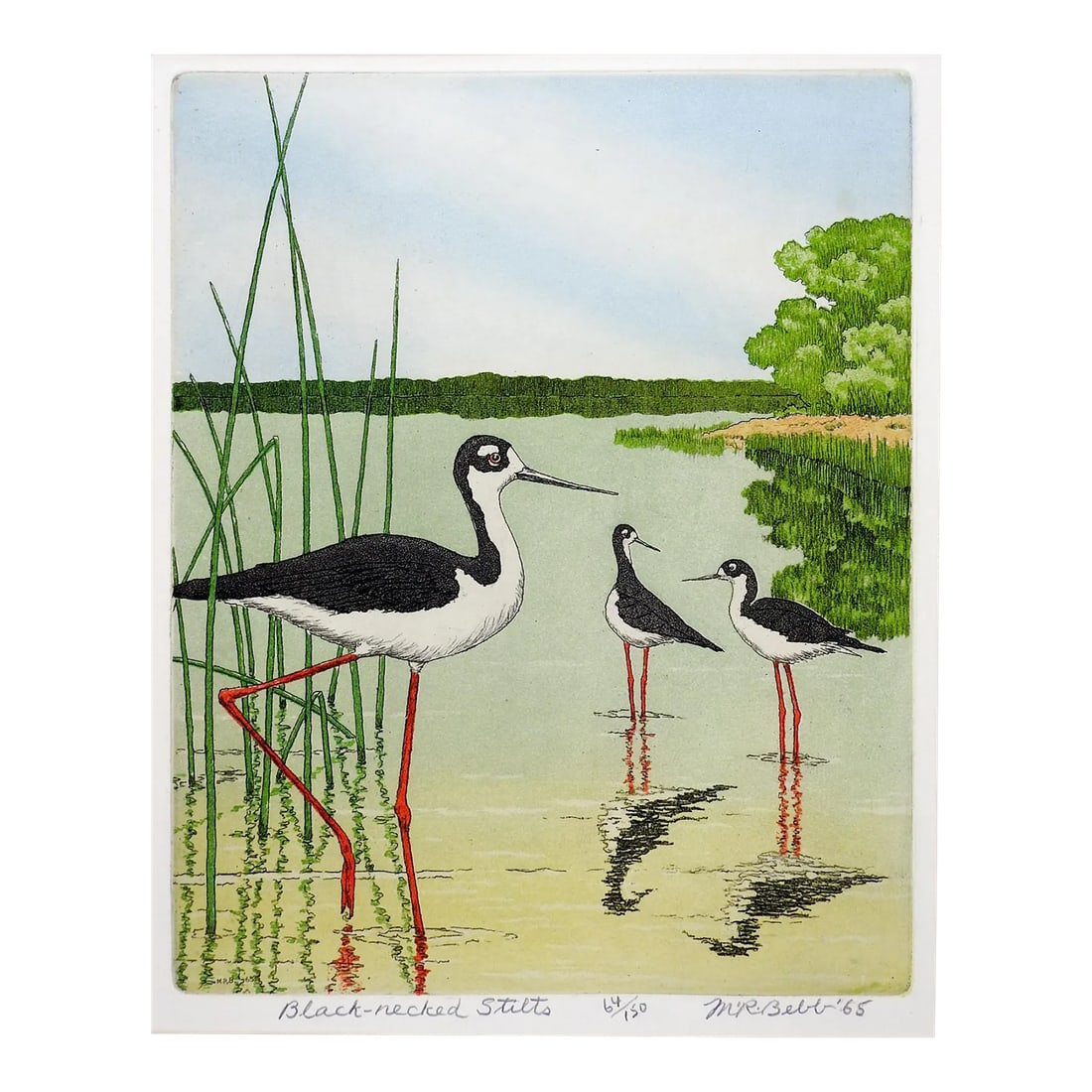 Vintage 1965 Maurie Bebb Shore Bird Aquatint Etching: Vintage 1965 Maurice R. Bebbs (1891-1985) color aquatint etching on paper. Signed, titled Black-necked Stilts, numbered 9/15 artist proof in pencil along lower margin. Unframed, displayed in folded ca
