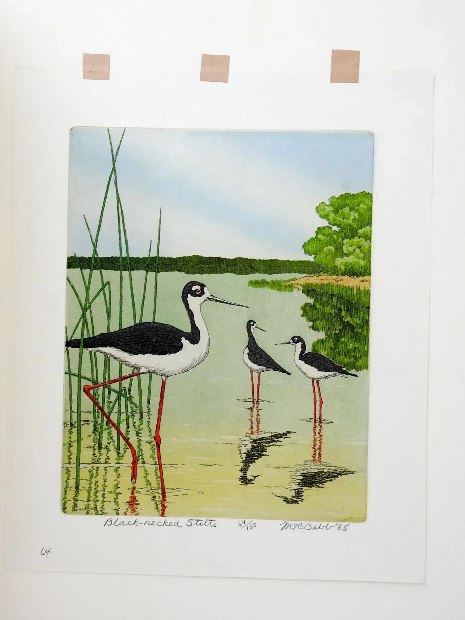Vintage 1965 Maurie Bebb Shore Bird Aquatint Etching - 4