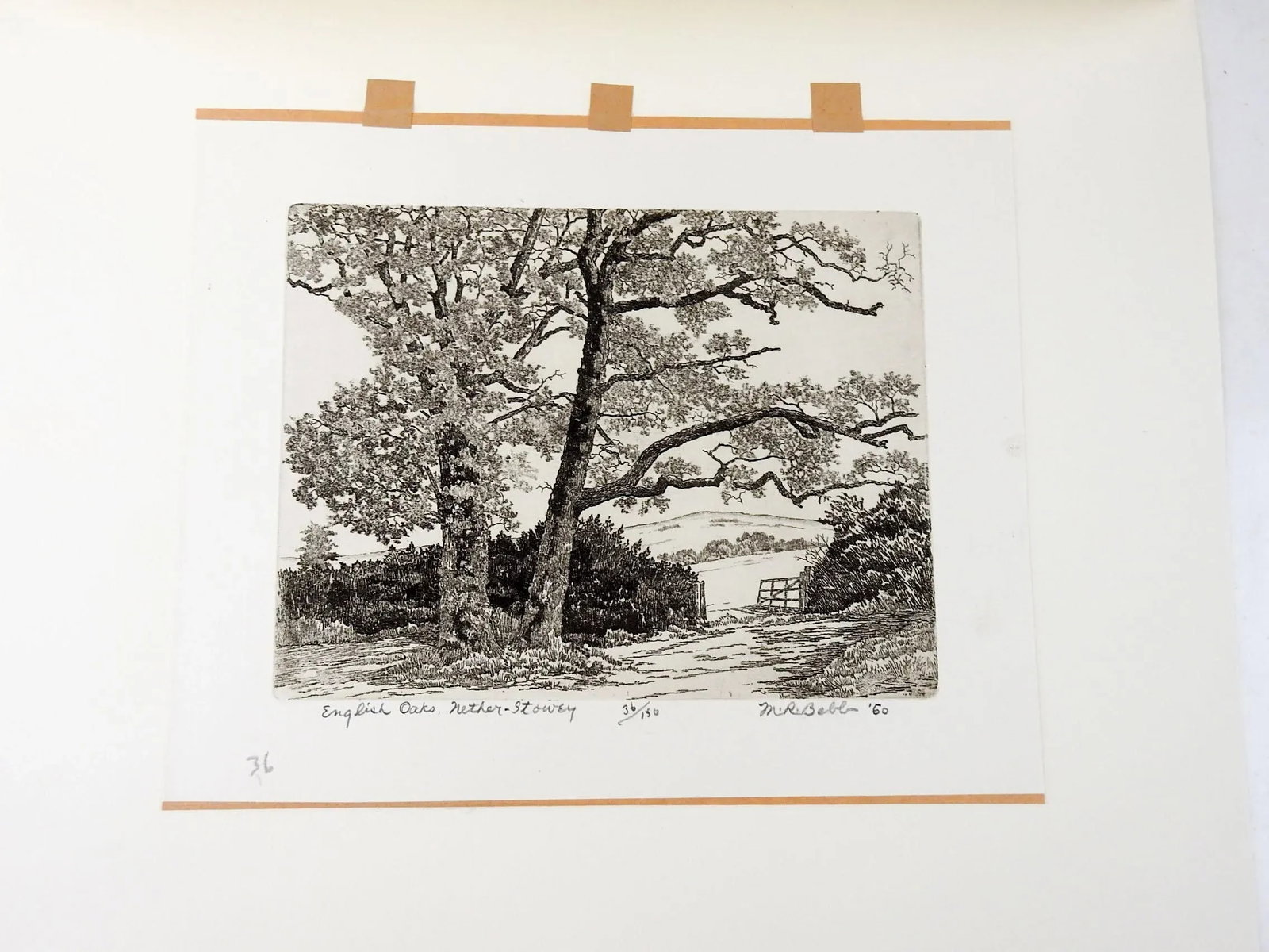 Vintage 1960 Maurice Bebb English Oaks Aquatint Etching - 4