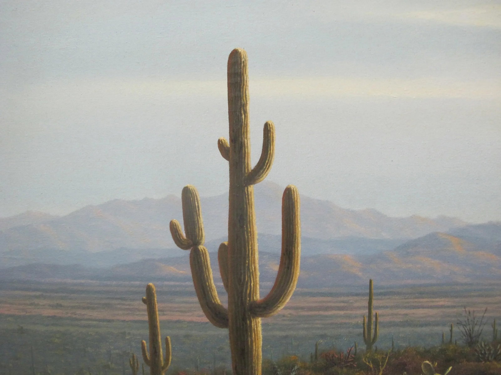 Rob Macintosh Desert Tucson Sunset Landscape Signed Oil Painting - 3