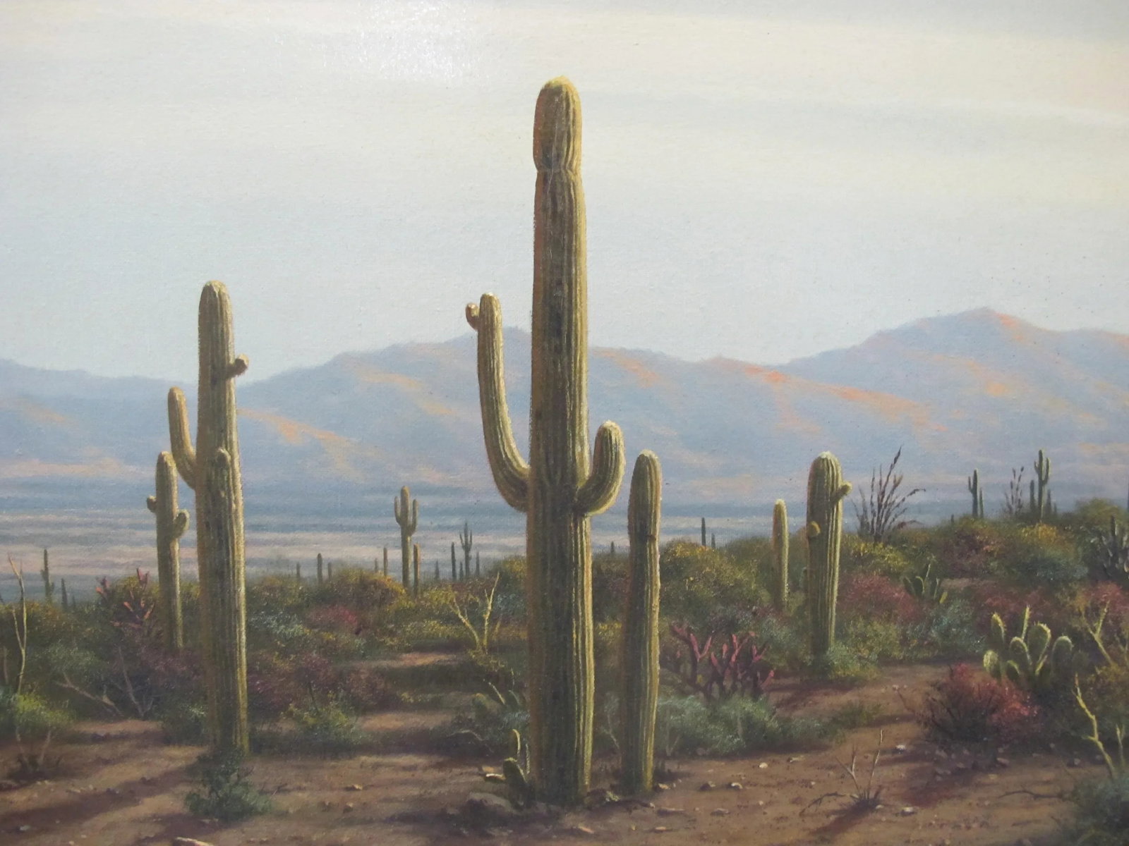 Rob Macintosh Desert Tucson Sunset Landscape Signed Oil Painting - 5