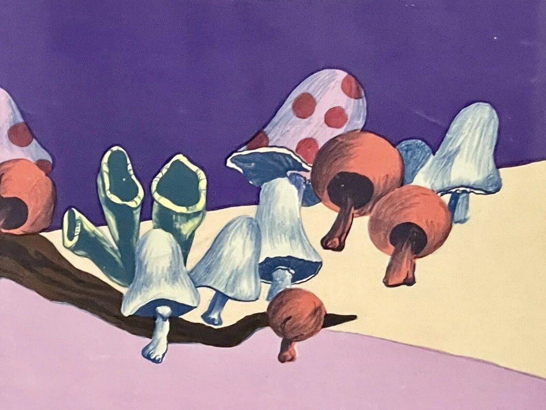 1970s Limited Edition Mushrooms Forest Landscape Print, Framed - 6